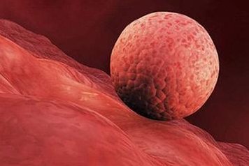 石家庄三代试管婴儿医院大比拼，为你解答哪家医院技术比较好