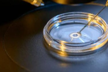 泰国第三代试管婴儿多少钱啊？