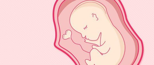 广州有哪些热门三代试管医院，广州三代试管婴儿费用是多少？