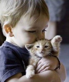 2026浙江私立助孕机构哪家值得选？排行榜上前四家名单